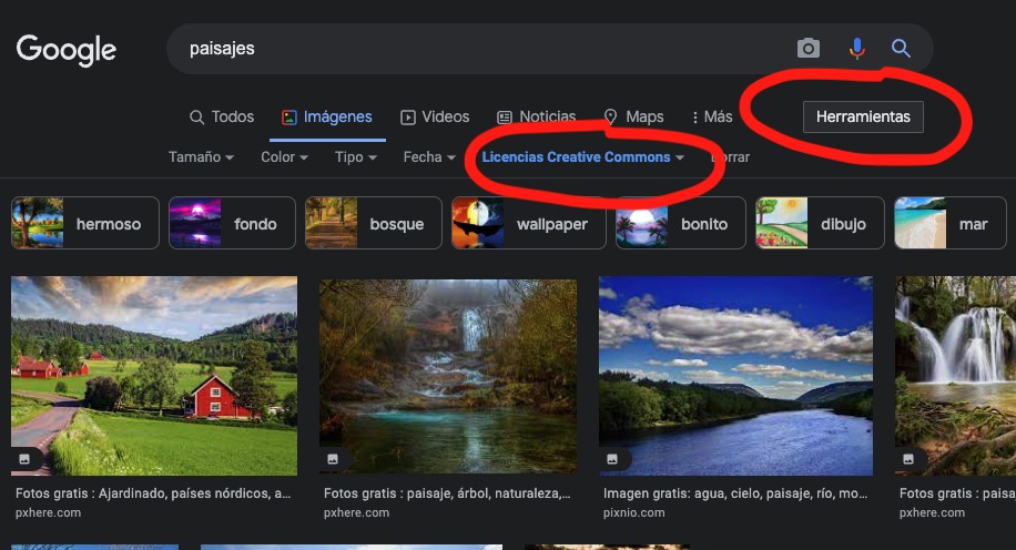 Filtros en Herramientas en Google Imágenes